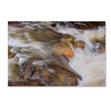 Trademark Fine Art Bob Rouse 'West Prong 5' Canvas Art, 22x32 ALI16106-C2232GG